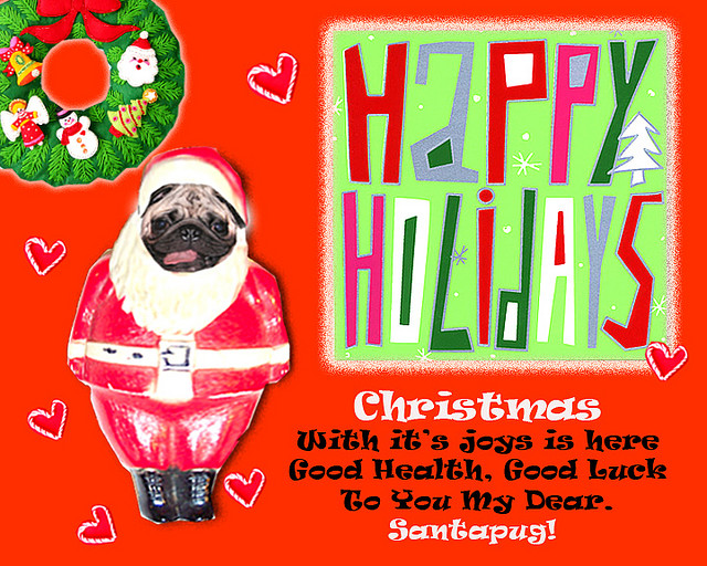 Pug Christmas Cards Pictures Wallpapers
